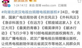 电视剧版权,揭秘电视剧背后的利益争夺战
