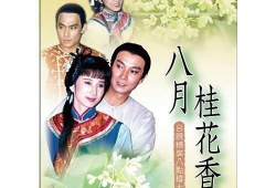 电视剧八月桂花香,民国风云中的爱情传奇