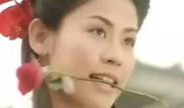 萱萱电视剧,穿越时空的守护者
