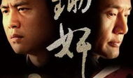 电视剧锄奸,暗战风云，正义之光
