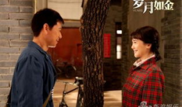 岁月如金电视剧剧情介绍,时光流转，情感永恒的温暖记忆