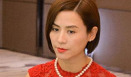 萱萱电视剧,穿越时空的守护者