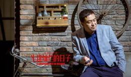 张嘉译的电视剧大全,深情演绎，岁月如歌