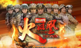电视剧火凤凰,浴火重生，铸就辉煌