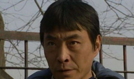 董雷电视剧,传奇人生，光影交织的电视剧传奇