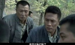 电视剧锄奸,暗战风云，正义之光