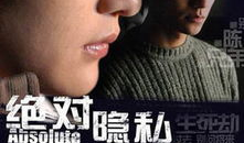 绝对隐私 电视剧,揭秘现代都市中的情感迷宫