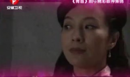 青盲电视剧全集观看,智斗暗影，揭秘特工风云