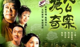 施公奇案电视剧,智慧断案，传奇人生