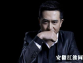 张嘉译的电视剧大全,深情演绎，岁月如歌