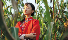红高粱电视剧全集,烽火岁月里的爱情传奇