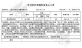 电视剧备案公示,揭秘热门剧集背后的故事与制作幕后