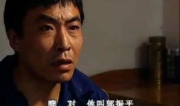 董雷电视剧,传奇人生，光影交织的电视剧传奇