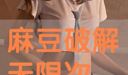 解麻豆,揭秘网络红人的崛起之路