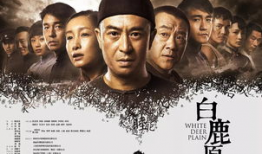 豆瓣高分国产电视剧,匠心独运，情感共鸣之作