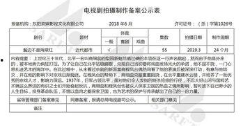 电视剧备案公示查询,热门剧集背后的故事与悬念
