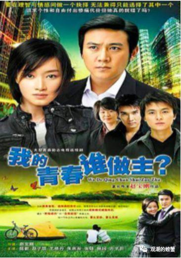 2010的所有电视剧,年度荧屏盛宴