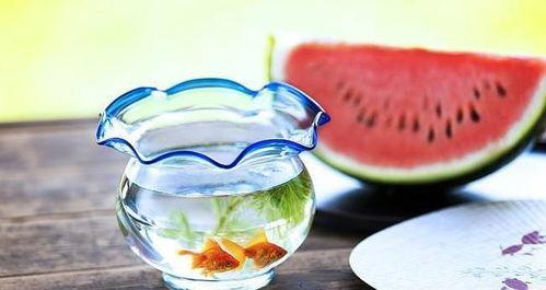 暗黑吃瓜官网入口,带你探索神秘网络世界